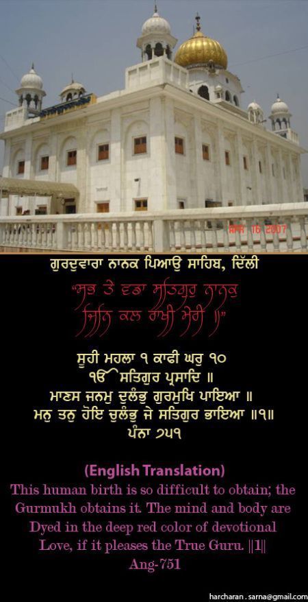 nanakpiao31-1.jpg