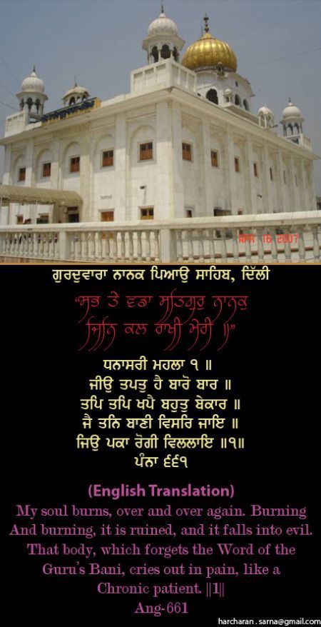 nanakpiao19-1.jpg