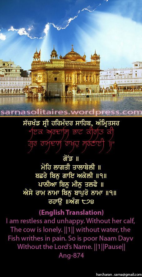 darbarsahib35-1.jpg